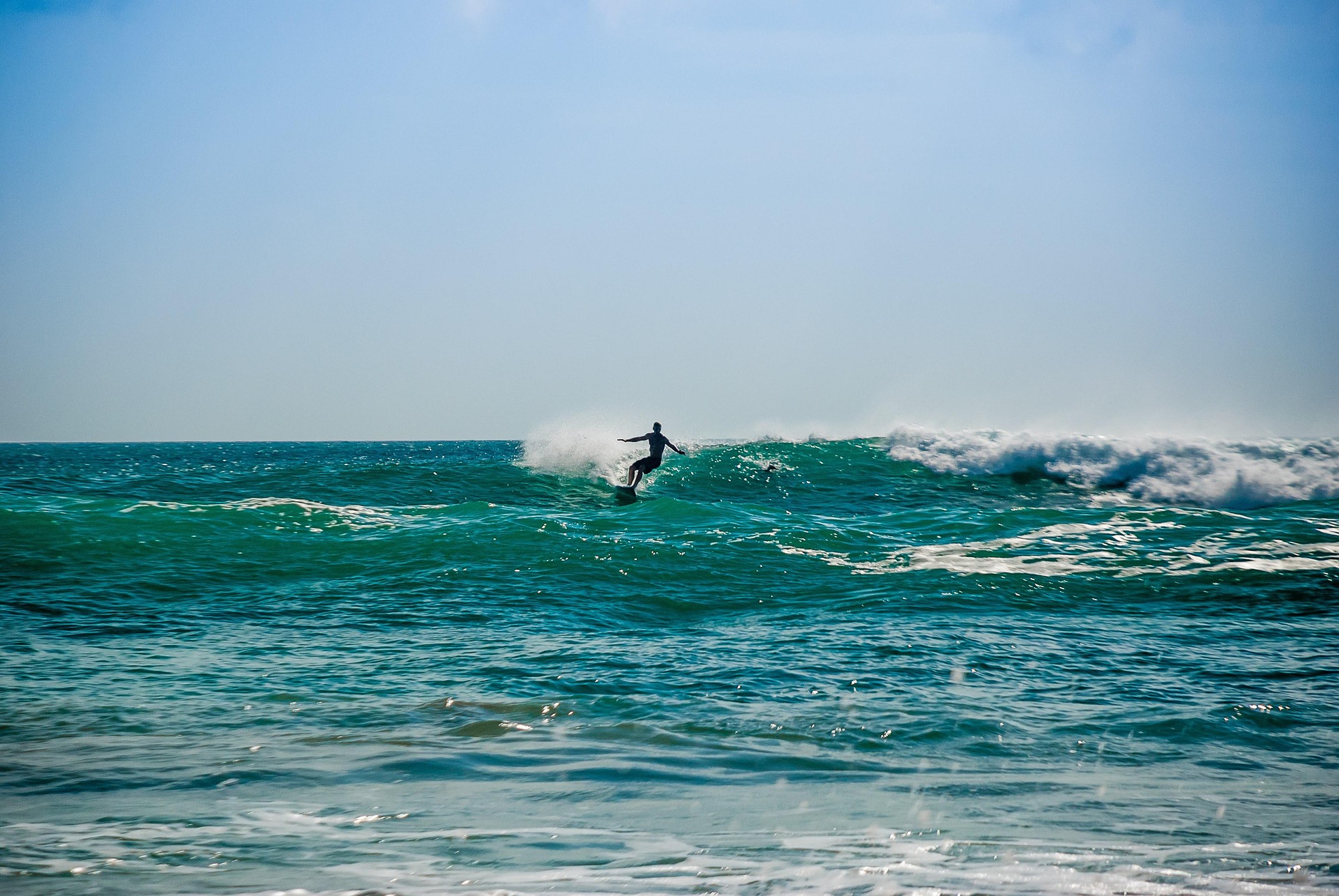 surf