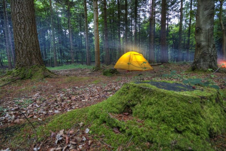 L’équipement essentiel pour faire du camping sauvage